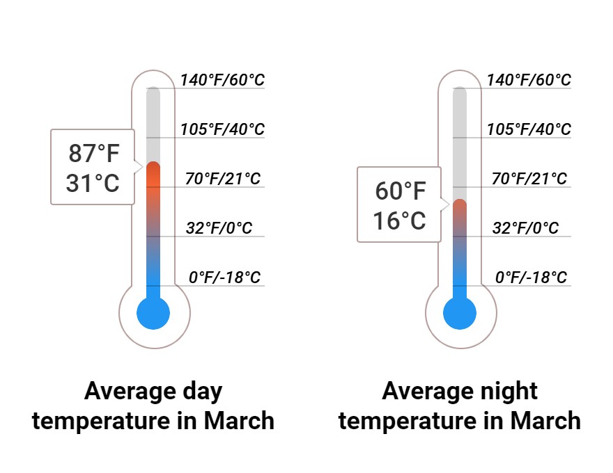 What to do in March in Dubai, UAE 2024 Winter Sun Expert